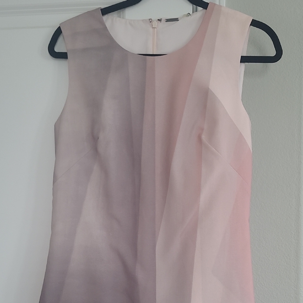 Elie Tahari Blush and Pale Pink Sleeveless Shift Dress
